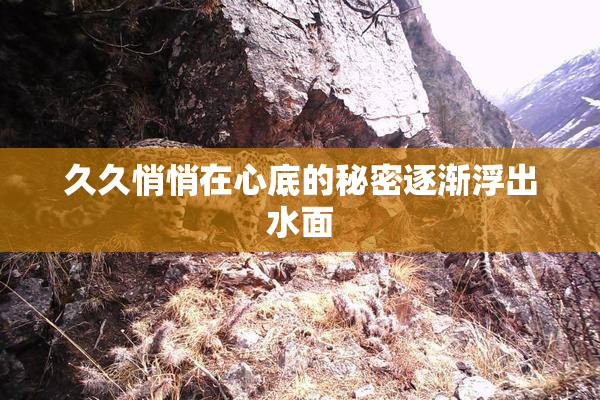 久久悄悄在心底的秘密逐渐浮出水面