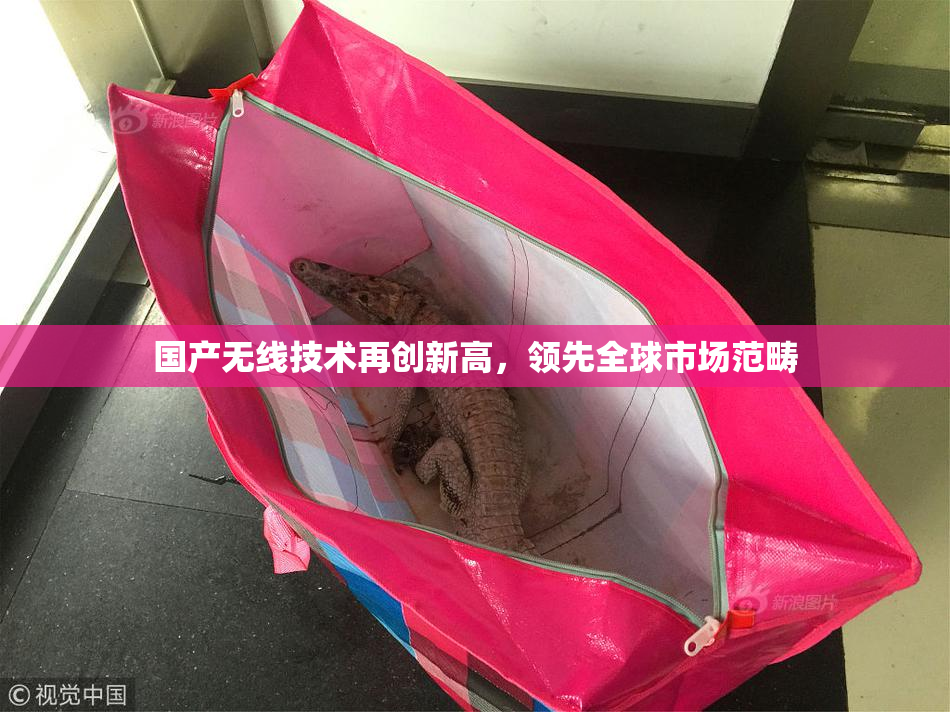 国产无线技术再创新高，领先全球市场范畴