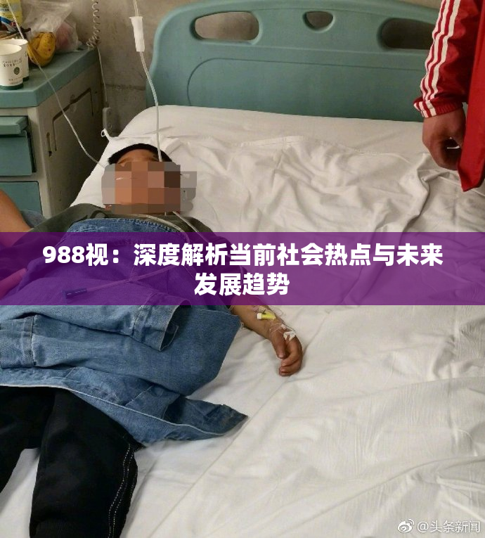 988视：深度解析当前社会热点与未来发展趋势