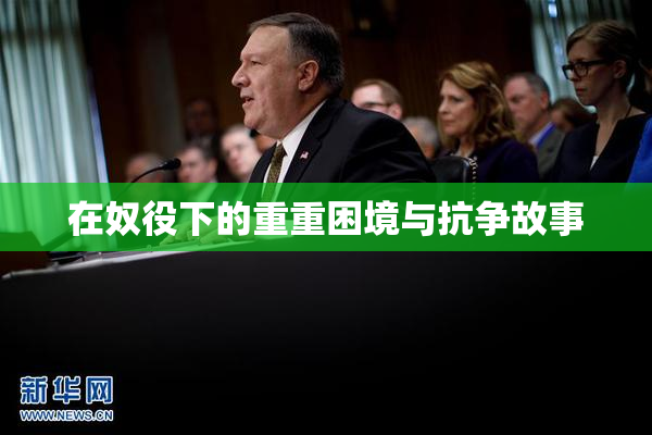 在奴役下的重重困境与抗争故事