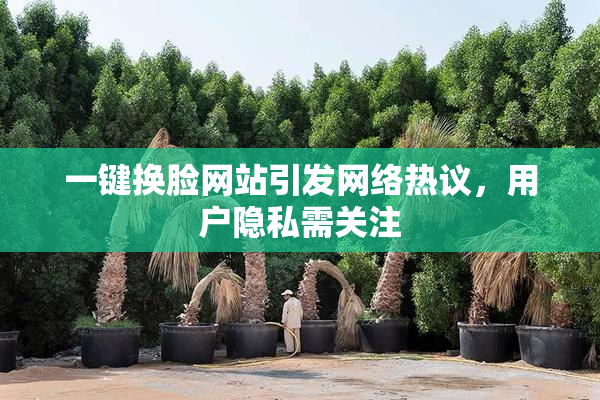 一键换脸网站引发网络热议，用户隐私需关注