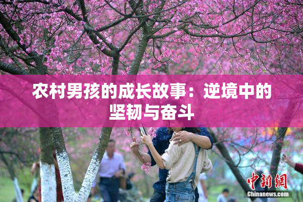 农村男孩的成长故事：逆境中的坚韧与奋斗