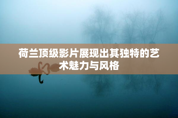 荷兰顶级影片展现出其独特的艺术魅力与风格