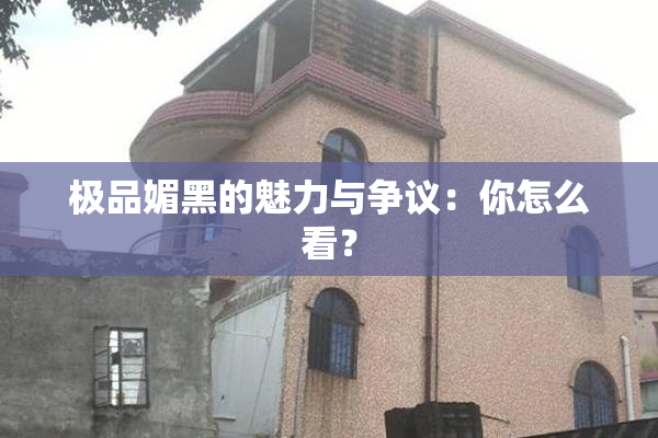 极品媚黑的魅力与争议：你怎么看？