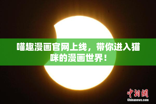 喵趣漫画官网上线，带你进入猫咪的漫画世界！