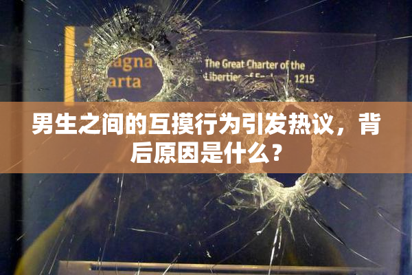 男生之间的互摸行为引发热议，背后原因是什么？