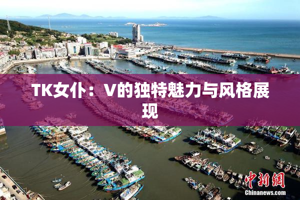 TK女仆：V的独特魅力与风格展现