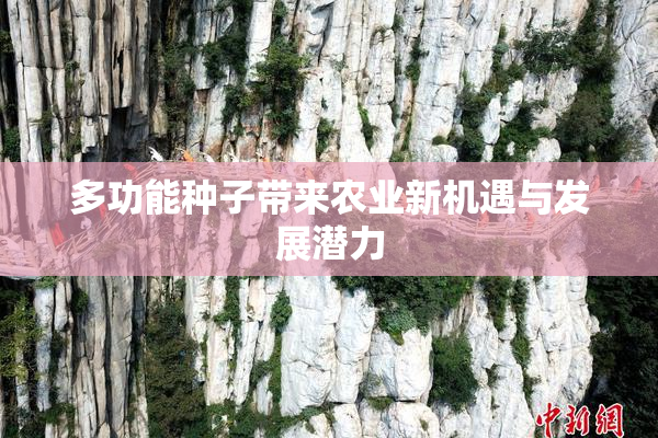 多功能种子带来农业新机遇与发展潜力