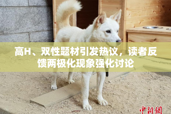 高H、双性题材引发热议，读者反馈两极化现象强化讨论