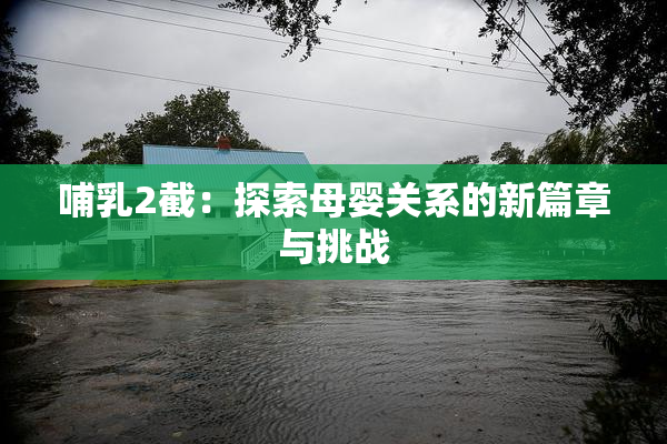 哺乳2截：探索母婴关系的新篇章与挑战