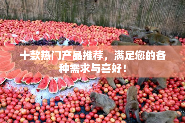 十款热门产品推荐，满足您的各种需求与喜好！