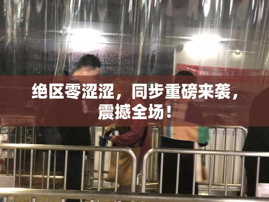 绝区零涩涩，同步重磅来袭，震撼全场！