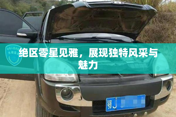 绝区零星见雅，展现独特风采与魅力