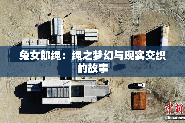 兔女郎绳：绳之梦幻与现实交织的故事
