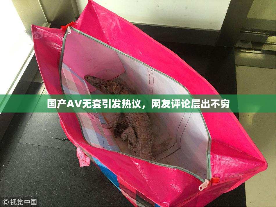 国产AV无套引发热议，网友评论层出不穷