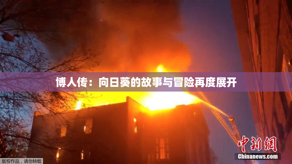 博人传：向日葵的故事与冒险再度展开