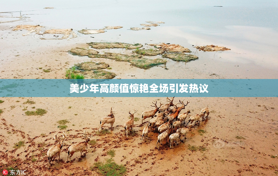 美少年高颜值惊艳全场引发热议