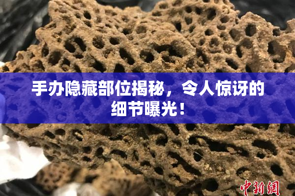 手办隐藏部位揭秘，令人惊讶的细节曝光！
