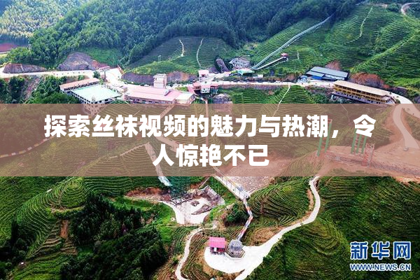 探索丝袜视频的魅力与热潮，令人惊艳不已