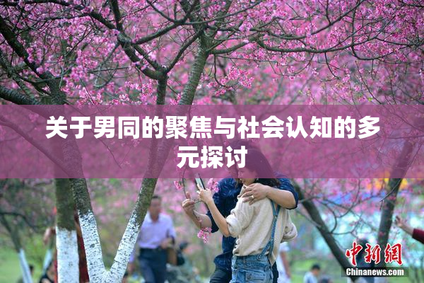 关于男同的聚焦与社会认知的多元探讨