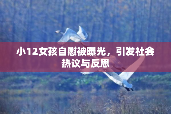 小12女孩自慰被曝光，引发社会热议与反思