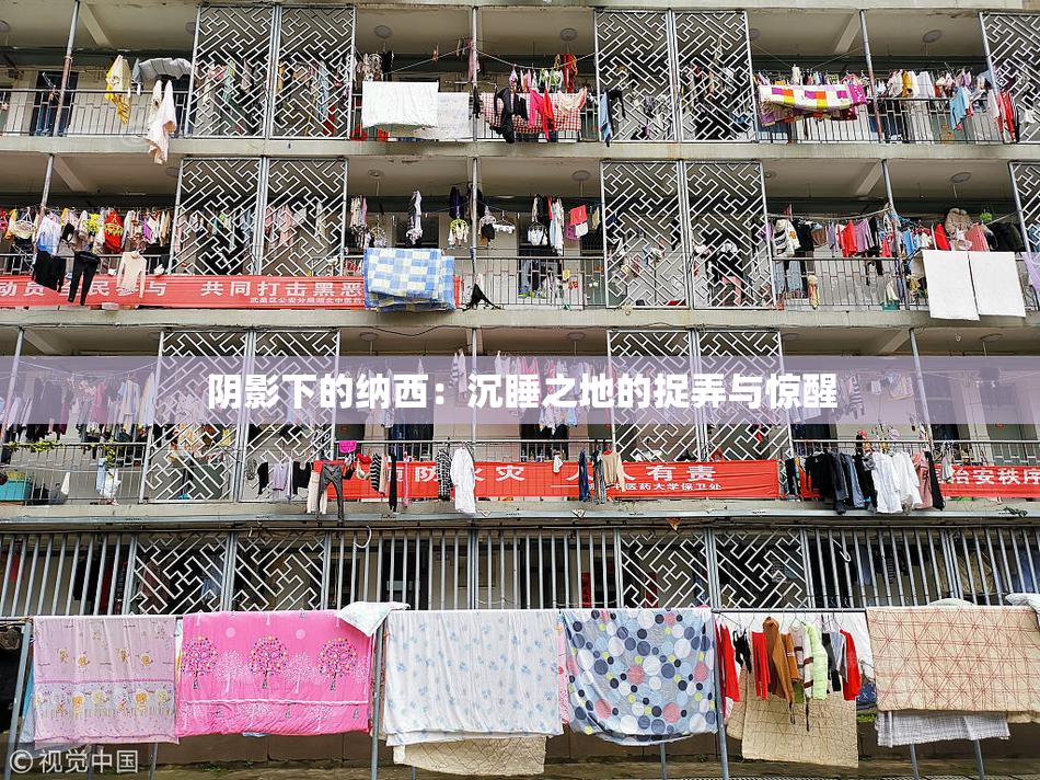 阴影下的纳西：沉睡之地的捉弄与惊醒