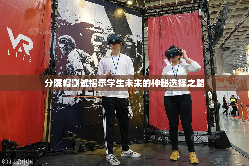 分院帽测试揭示学生未来的神秘选择之路