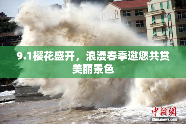 9.1樱花盛开，浪漫春季邀您共赏美丽景色