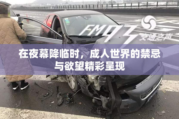 在夜幕降临时，成人世界的禁忌与欲望精彩呈现