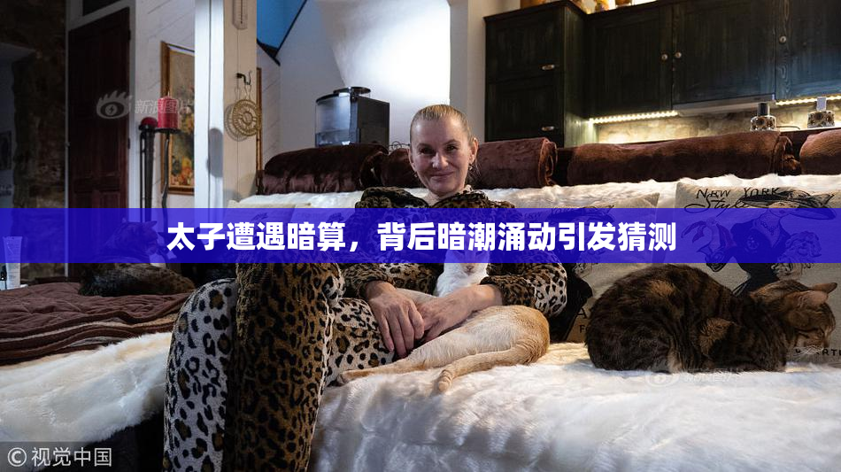太子遭遇暗算，背后暗潮涌动引发猜测