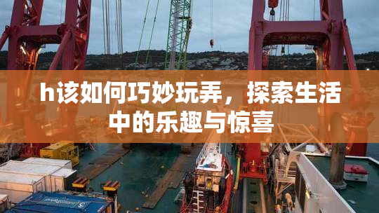 h该如何巧妙玩弄，探索生活中的乐趣与惊喜