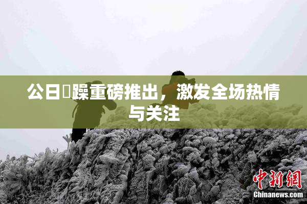 公日鬧躁重磅推出，激发全场热情与关注