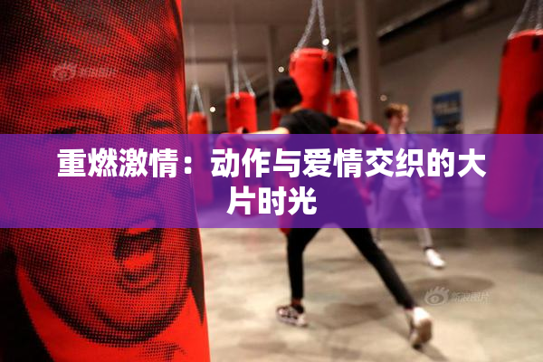 重燃激情：动作与爱情交织的大片时光