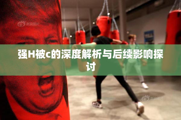 强H被c的深度解析与后续影响探讨