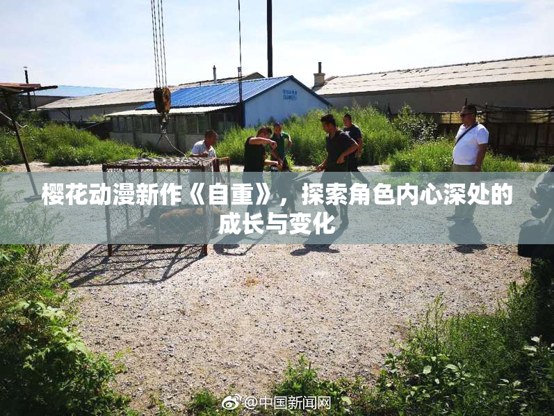 樱花动漫新作《自重》，探索角色内心深处的成长与变化