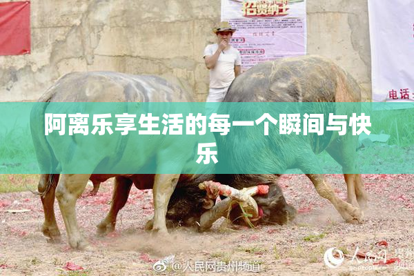 阿离乐享生活的每一个瞬间与快乐