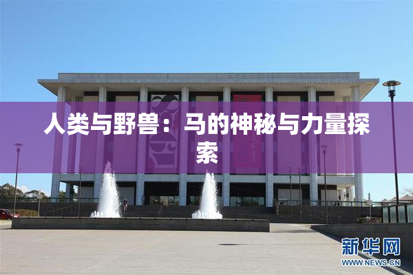 人类与野兽：马的神秘与力量探索