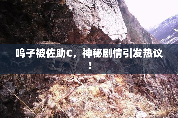 鸣子被佐助C，神秘剧情引发热议！