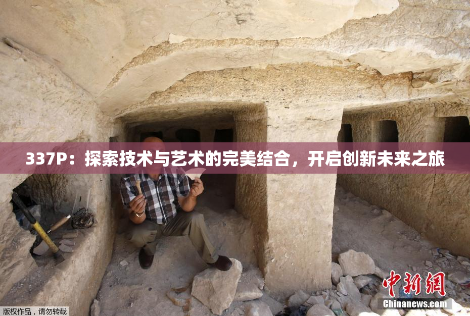 337P：探索技术与艺术的完美结合，开启创新未来之旅