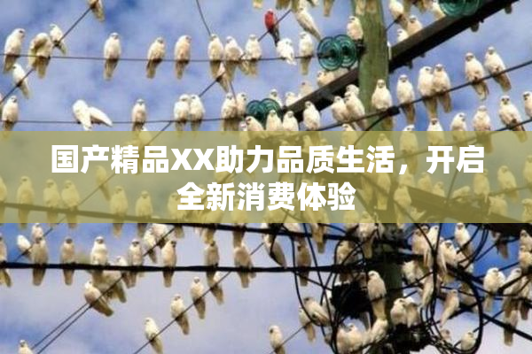国产精品XX助力品质生活，开启全新消费体验