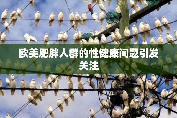 欧美肥胖人群的性健康问题引发关注