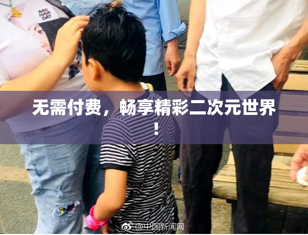 无需付费，畅享精彩二次元世界！