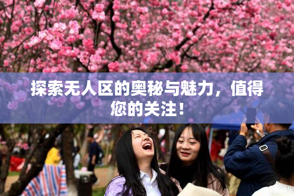 探索无人区的奥秘与魅力，值得您的关注！