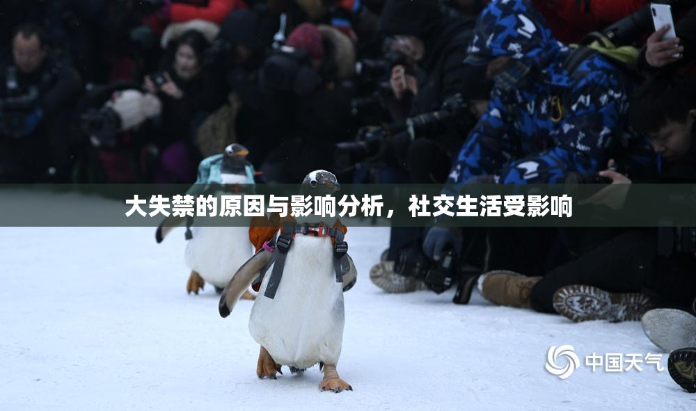 大失禁的原因与影响分析，社交生活受影响