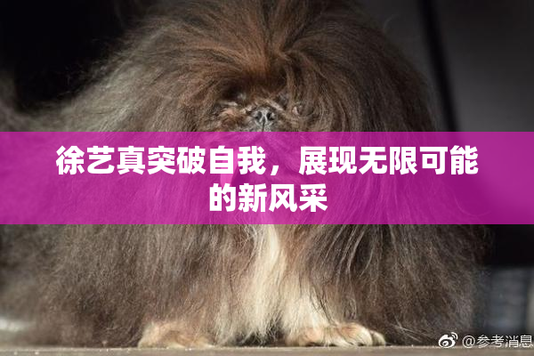 徐艺真突破自我，展现无限可能的新风采