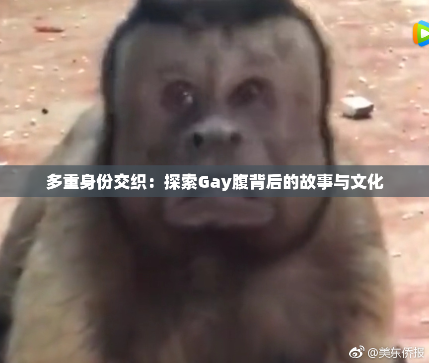 多重身份交织：探索Gay腹背后的故事与文化