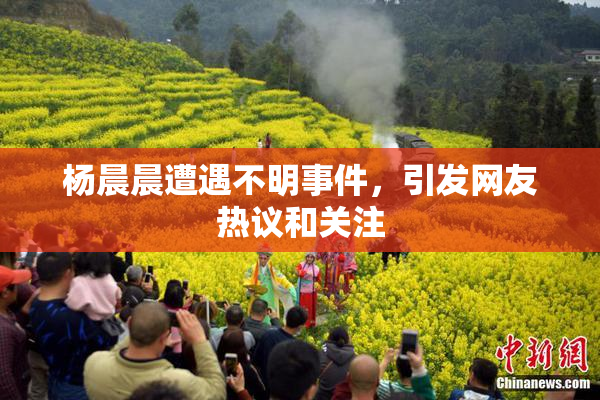 杨晨晨遭遇不明事件，引发网友热议和关注