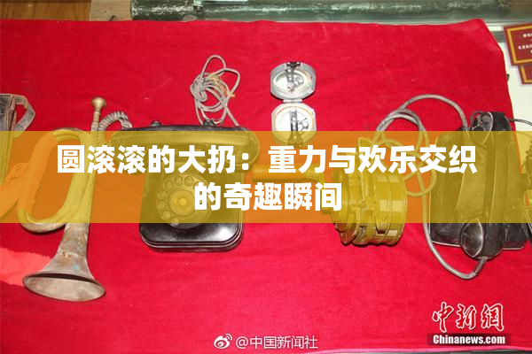 圆滚滚的大扔：重力与欢乐交织的奇趣瞬间