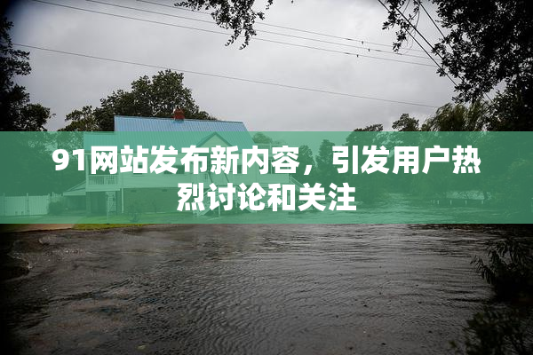 91网站发布新内容，引发用户热烈讨论和关注