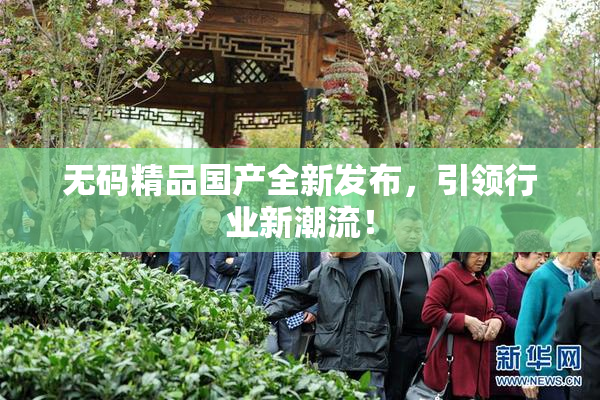 无码精品国产全新发布，引领行业新潮流！